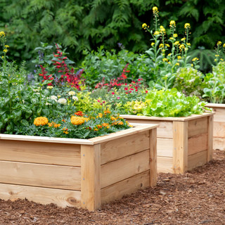 garden-bed