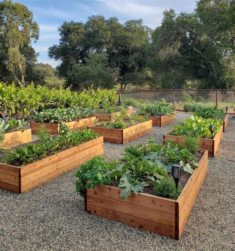 garden-bed